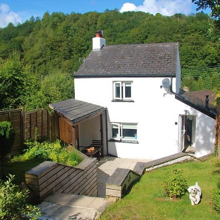 Peacock Cottage Cinderford Buitenkant foto