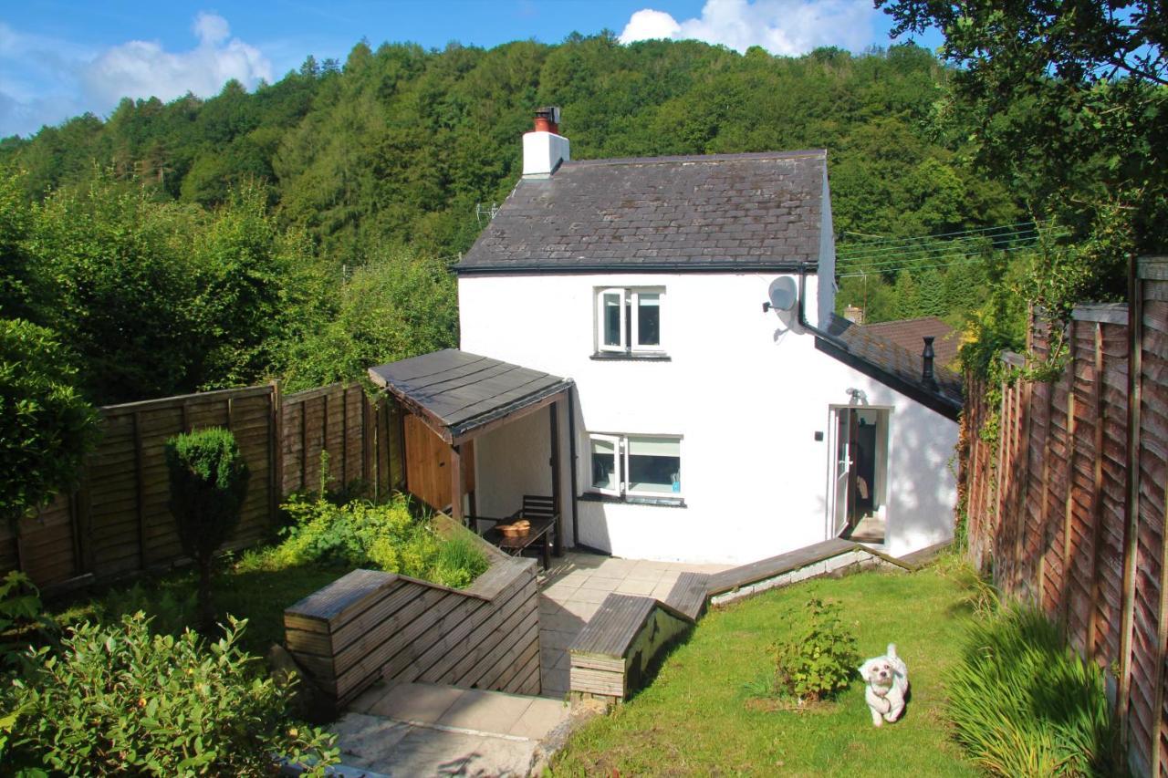 Peacock Cottage Cinderford Buitenkant foto